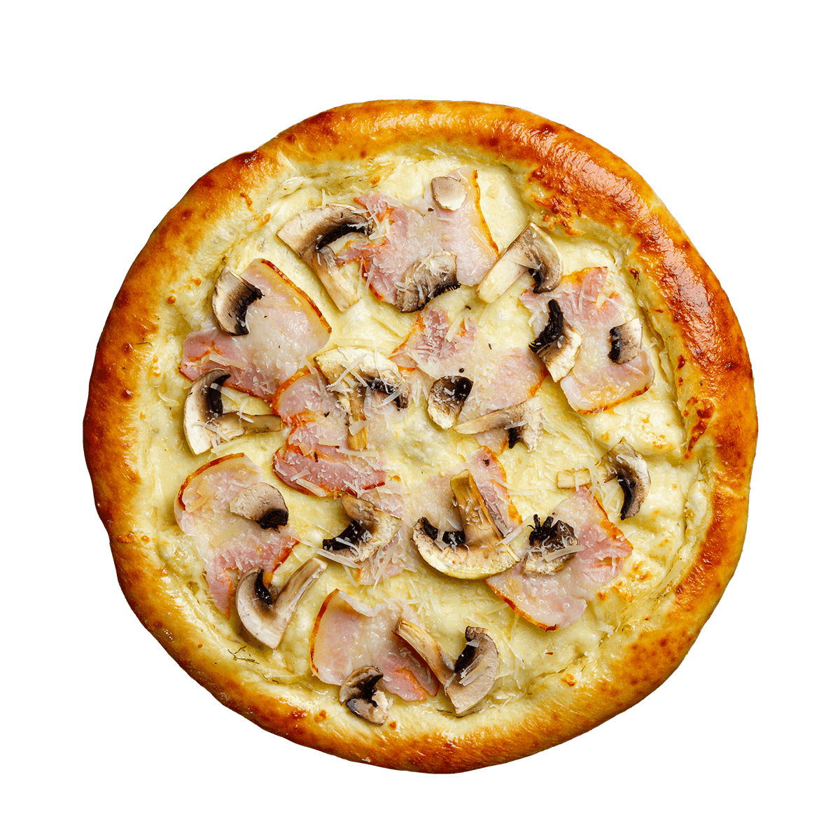 Студенческая 36 см